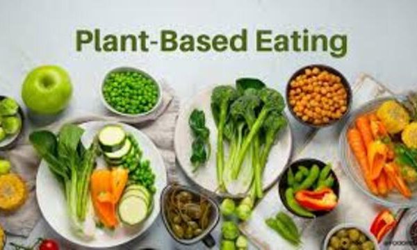 Diet Plant-Based